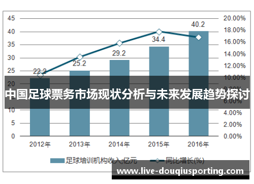 中国足球票务市场现状分析与未来发展趋势探讨